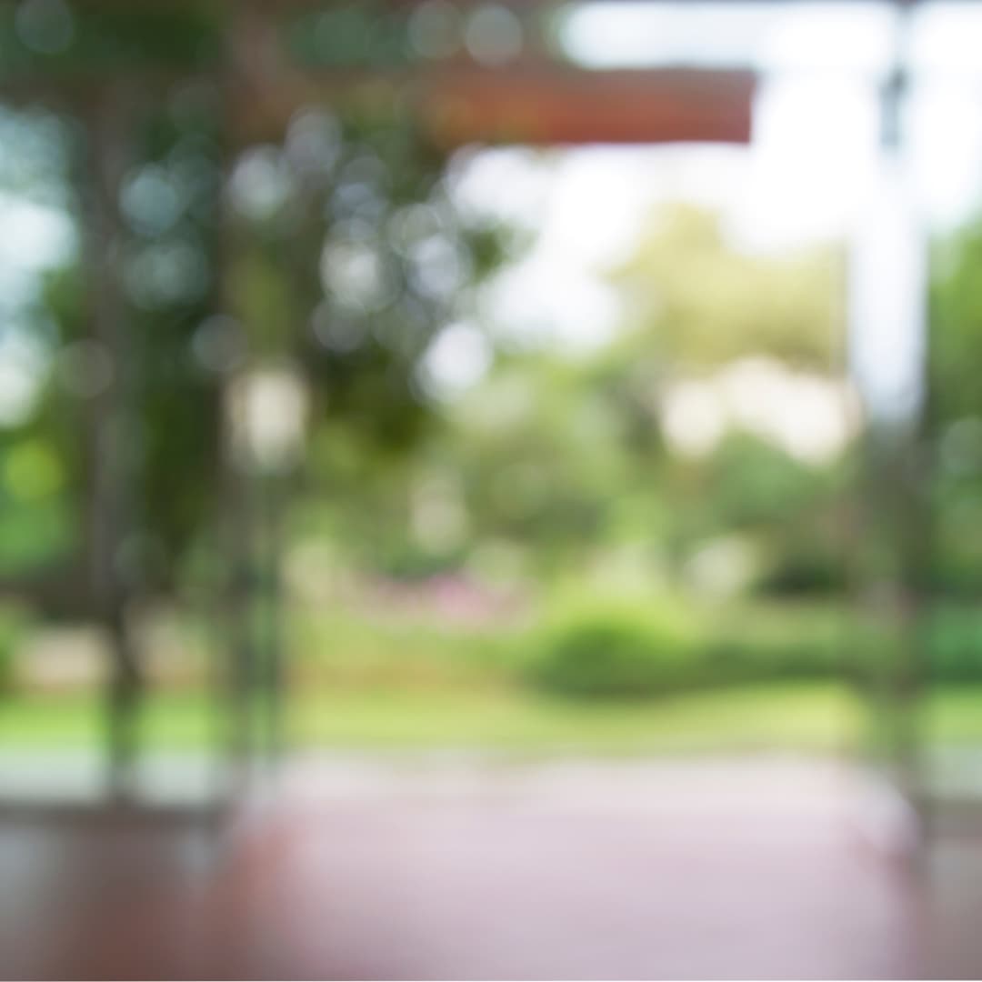 Chani Lazar- Stern- Nature